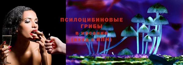 ECSTASY Новозыбков
