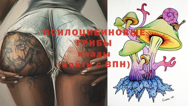 бошки Дмитриев