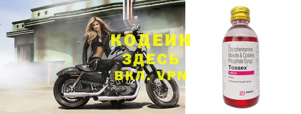 ECSTASY Новозыбков