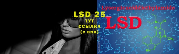 стафф Новодвинск