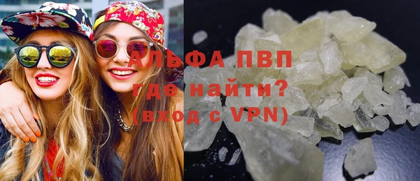 молекула духа Новокубанск