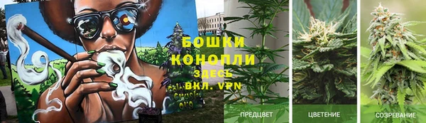молекула духа Новокубанск