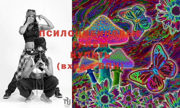 стафф Новодвинск