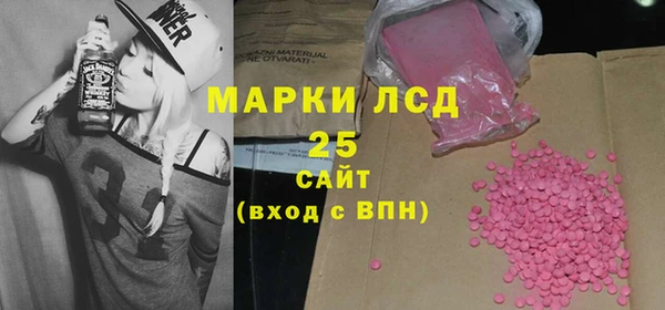 стафф Новодвинск