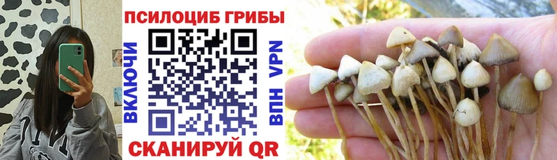 площадка как зайти  дарнет шоп  Себеж  Галлюциногенные грибы мухоморы 